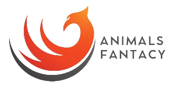 AnimalsFantacy for Animals