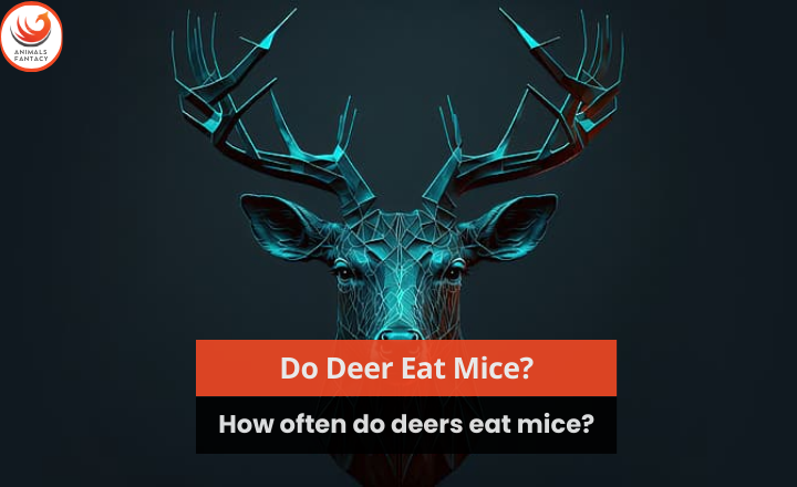 Do Deer Eat Mice